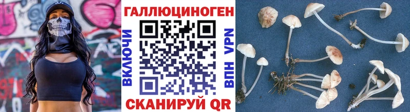 Псилоцибиновые грибы GOLDEN TEACHER  Мамоново 